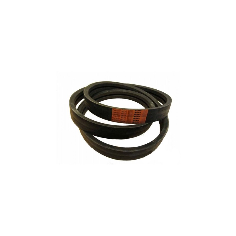 84435035.jpg CINGHIA COD. 84435035