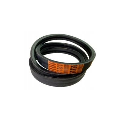 344311316_lvs.jpg CINGHIA COD. 344311316