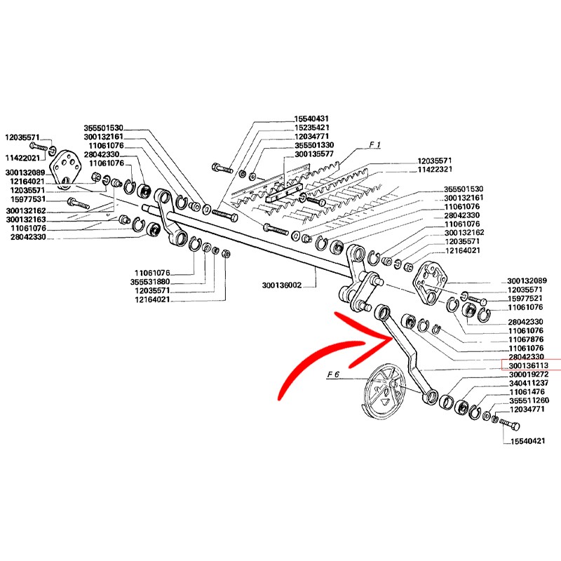 300136113.jpg BIELLA COD. 300136113