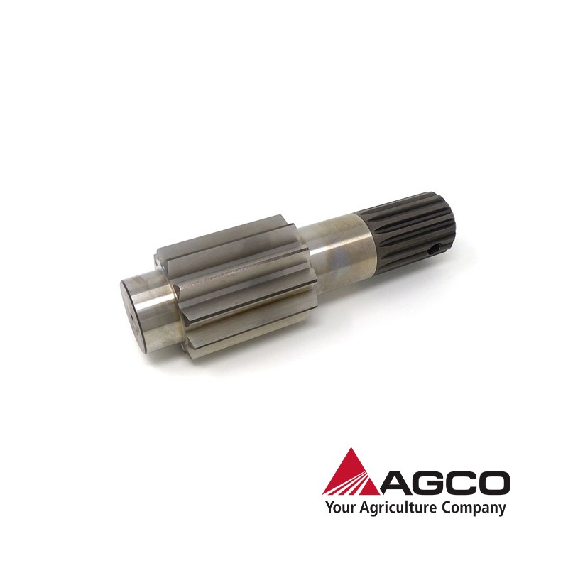 320572750.jpg PIGNONE COD. 320572750