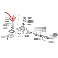 350382434.jpg LINGUETTA COD. 350382434