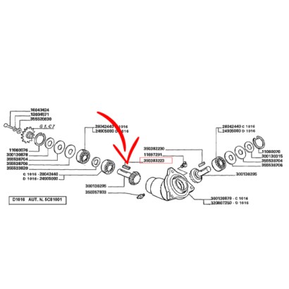 350383223.jpg LINGUETTA COD. 350383223