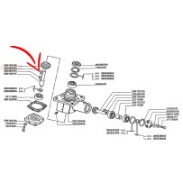 350383450.jpg LINGUETTA COD. 350383450