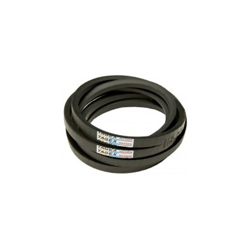 344311129.jpg CINGHIA COD. 344311129