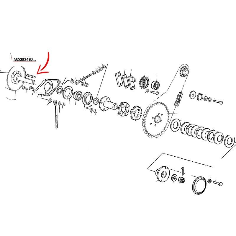 350383480.jpg LINGUETTA COD. 350383480