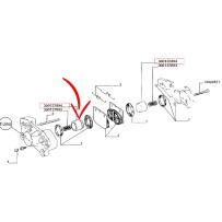 300137894.jpg PISTONE COD. 300137894