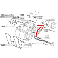 322498350_b.jpg MANICOTTO COD. 322498350
