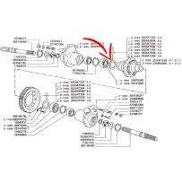 355547304.jpg RONDELLA COD. 355547304
