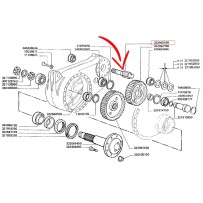 322062050.jpg ALBERO COD. 322062050