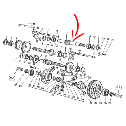 300130027.jpg ALBERO COD. 300130027