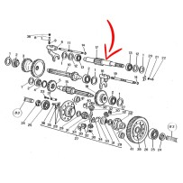 300130027.jpg ALBERO COD. 300130027