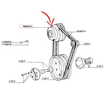 4802373.jpg PULEGGIA COD. 4802373