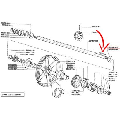 353847125.jpg LINGUETTA COD. 353847125