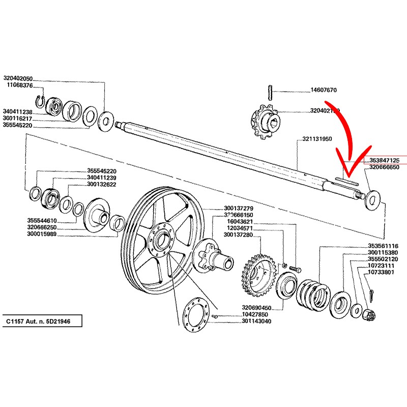 353847125.jpg LINGUETTA COD. 353847125
