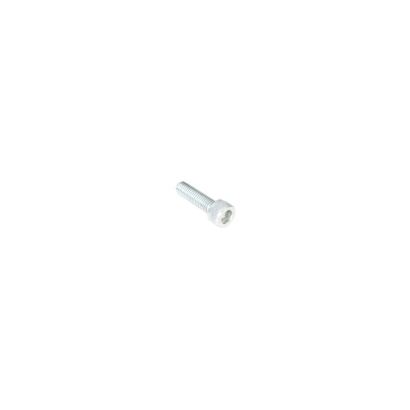 la322717850.jpg VITE TESTA VUOTA COD. 322717850 la322717850.jpg VITE TESTA VUOTA COD. 322717850