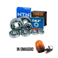 kitcuscinetti.jpg KIT CUSCINETTI ALTA MOVIMENTAZIONE SKF-TIMKEN-CLAAS