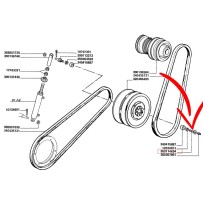 300114634.jpg VITE COD. 300114634