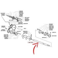 300117473.jpg ALBERO COD. 300117473
