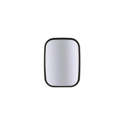 87316908_b.jpg SPECCHIO DESTRO COD. 87316908