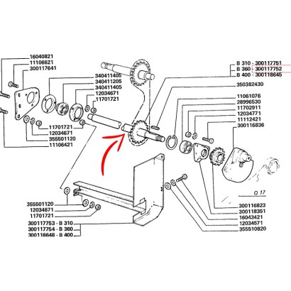 300117752.jpg ALBERO COD. 300117752