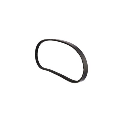84073979.jpg CINGHIA TRAPEZOIDALE COD. 84073979