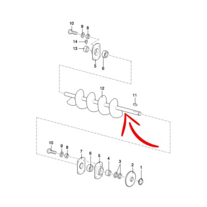 84018016_b.jpg COCLEA COD. 84018016