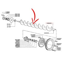 320846250_lvs.jpg COCLEA COD. 320846250