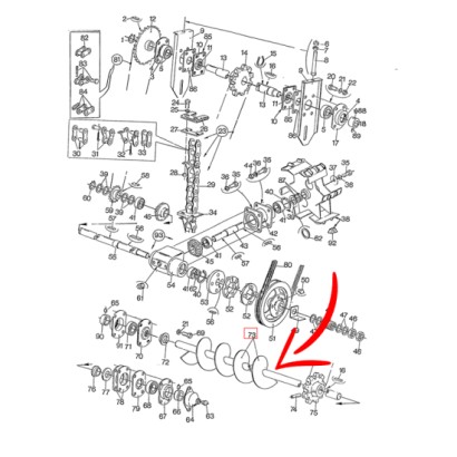 80422377.jpg COCLEA COD. 80422377