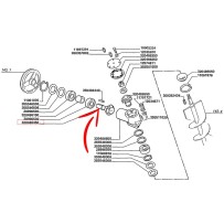 320486450.jpg PIGNONE COD. 320486450